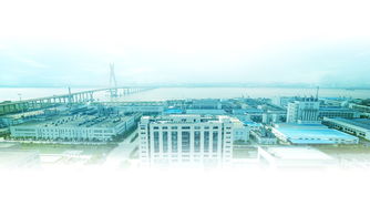 研发驱动产品竞争力 大博文在保鲜剂环保节能技术开发中的实践与突破